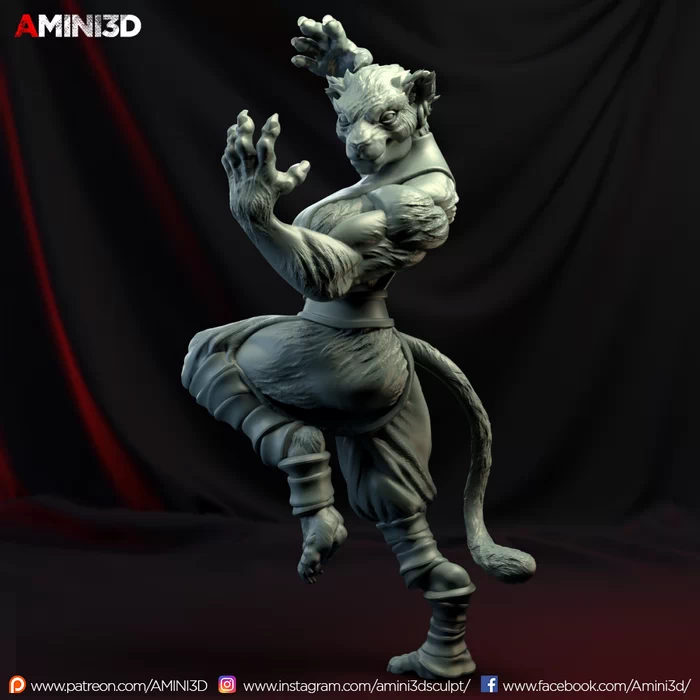 Tabaxi Monk 1