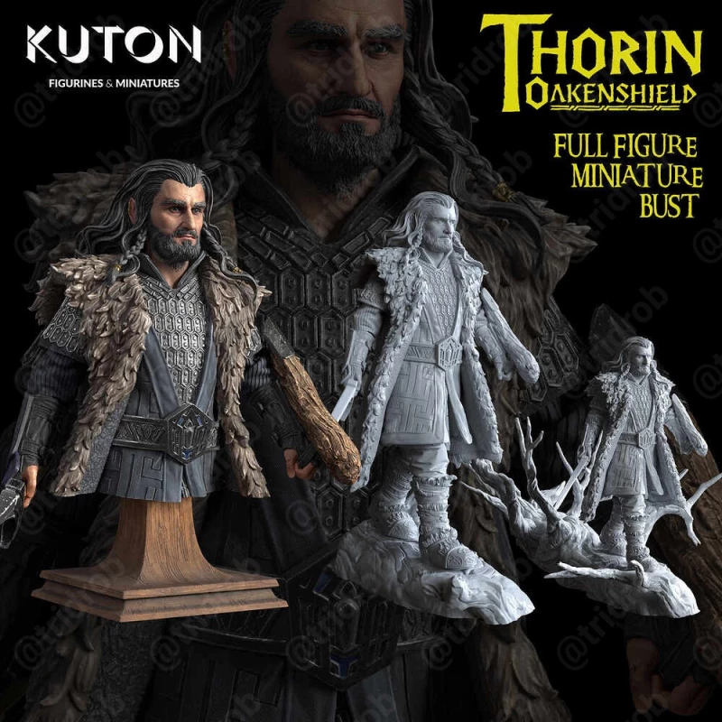 Thorin Oakenshield