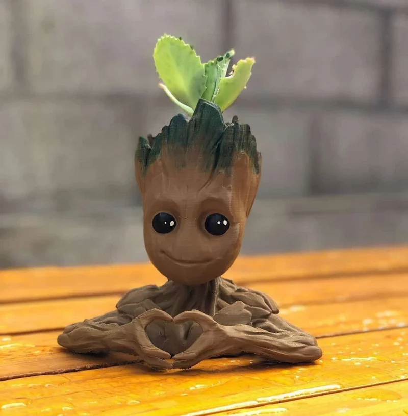 Groot Corazon