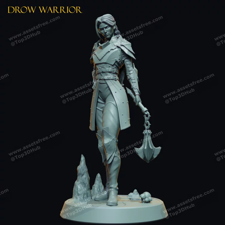 Drow Warrior