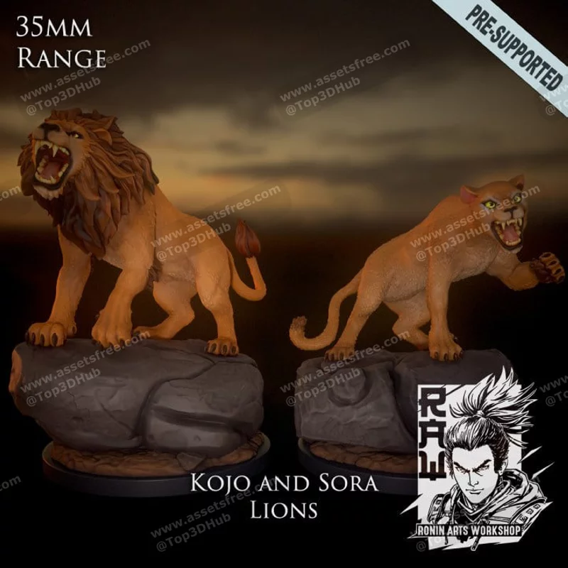 Kojo and Sora lions