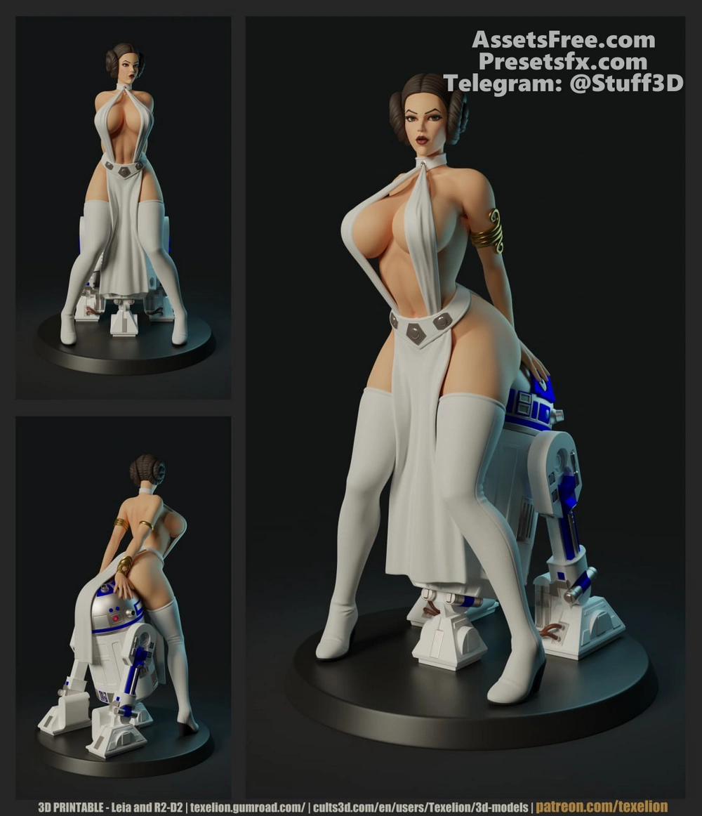 Princess Leia and R2D2