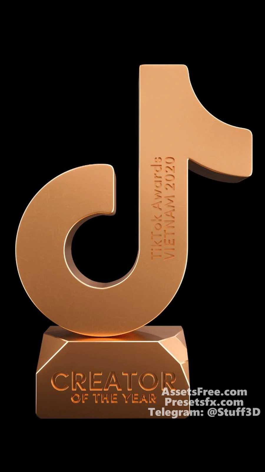TikTok award