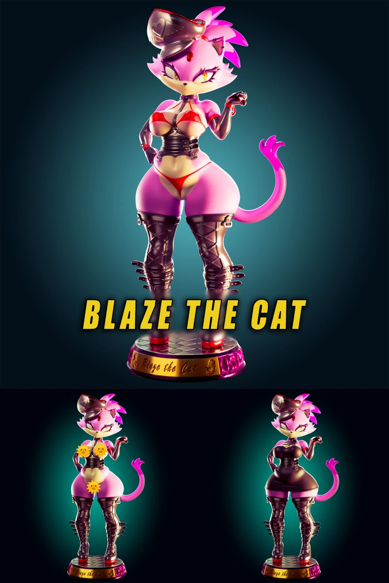 Blaze the Cat