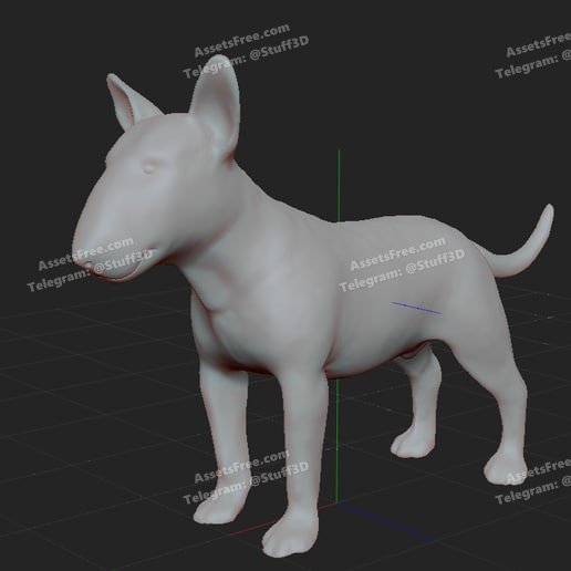 Сhien bull terrier