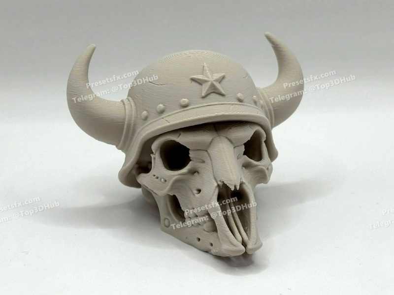 Bison Army Skull