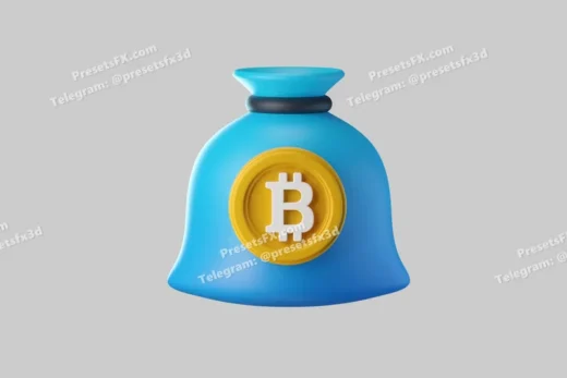Bitcoin Money Bag