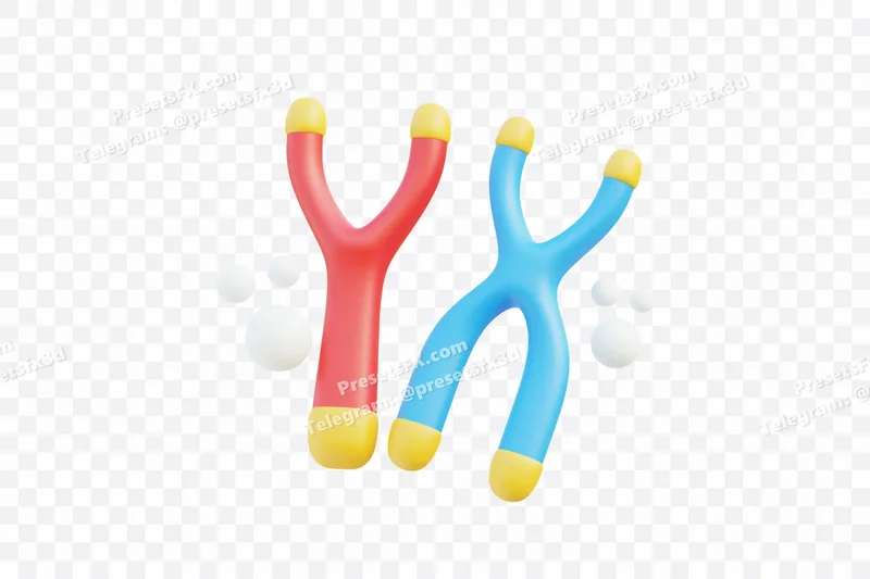 Chromosome Structure