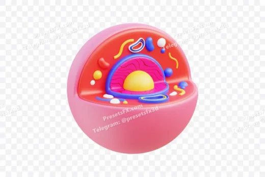 Colorful Cell Structure Model