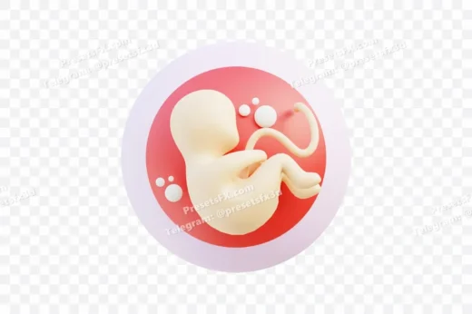 Human Embryo Concept
