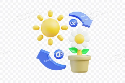 Photosynthesis Process Diagram