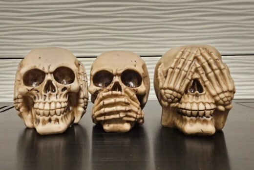 3 Skulls, Don’t See, Speak, Hear