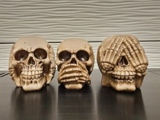 3 Skulls, Don’t See, Speak, Hear
