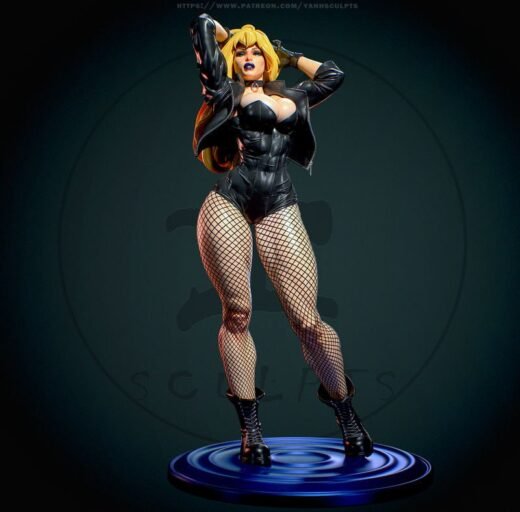 Yan-H — DC — Black Canary