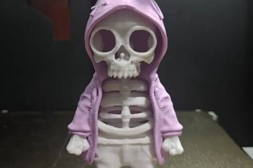 skeleton hudi
