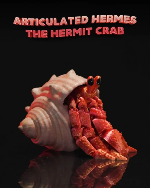 Hermes the Hermit Crab — Original Character 3D model