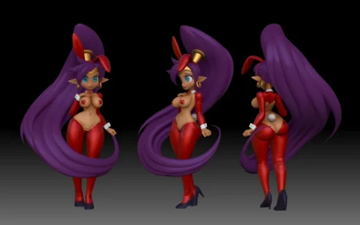 Shantae Reverse Bunny Girl — Shantae 3D model