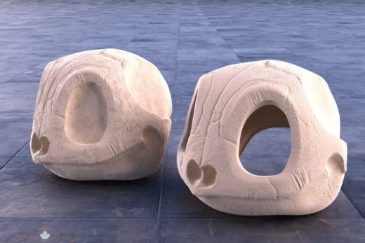 Squirtle Skull — Pokémon 3D model